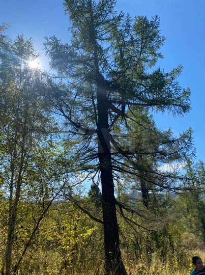 Участок 13,82 га (СНТ, ДНП)