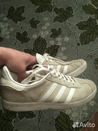 Adidas gazelle