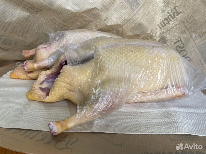 Мясо утки мулард