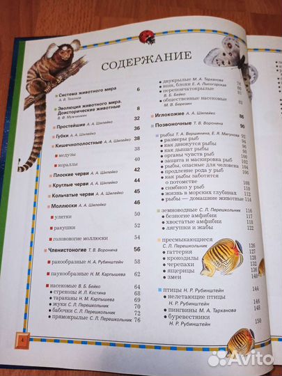 Детская энциклопедия