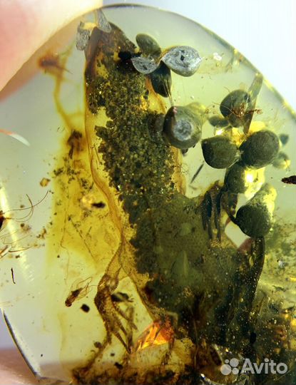 Натуральный янтарь с включением на заказ