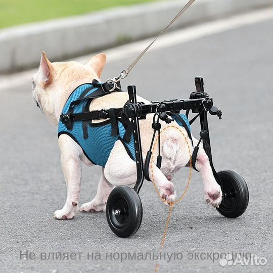 Инвалидная коляска для собак