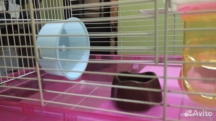 Клетка для хомяка, краски, маленьких попугаев