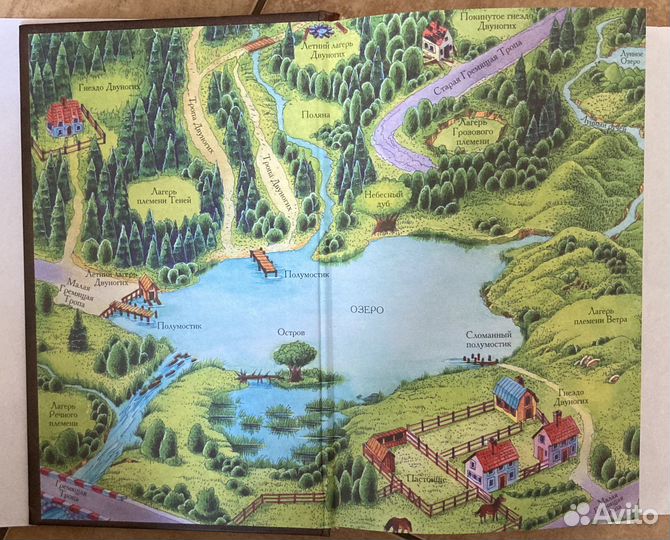 Книга Коты воители
