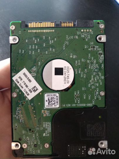 HDD для ноутбука WD blue 500 GB