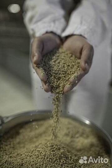 Аппаратчик обработки зерна элеватора