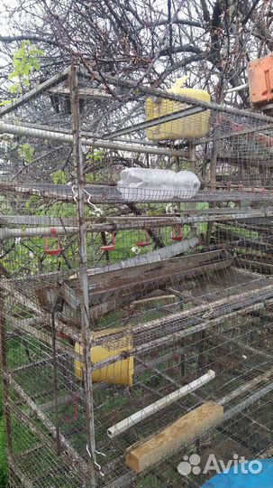 Клетки для перепелов