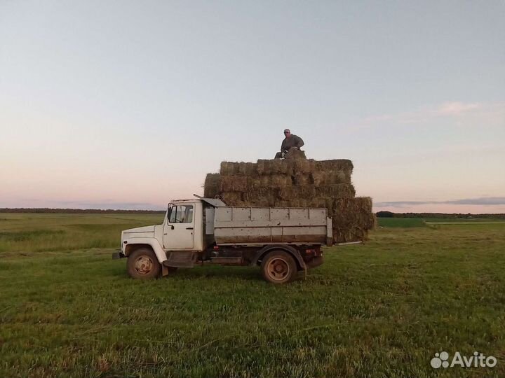Услуги самосвала газ