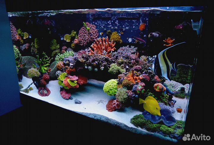 Морской аквариум 300 литров 120х50х50см