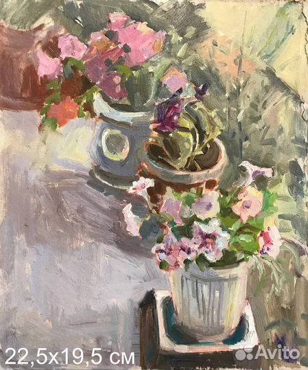 Этюды маслом на картоне