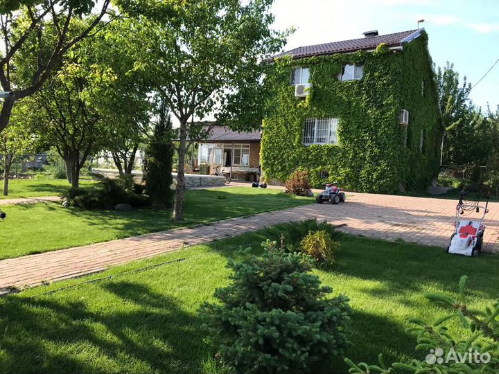 Девичий виноград триостренный Вичи