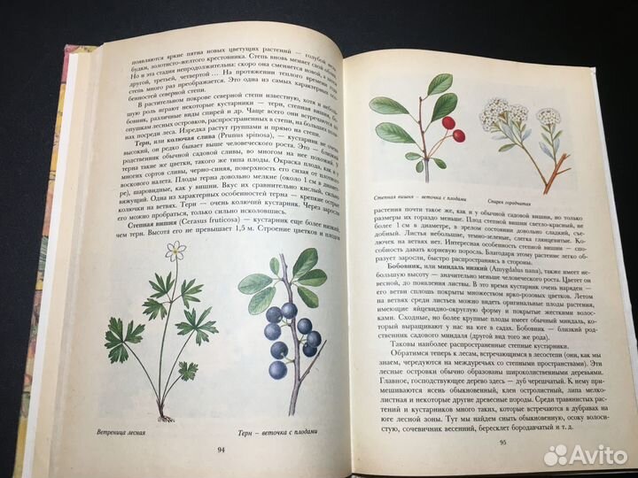 Растительный мир нашей Родины, Петров, 1981