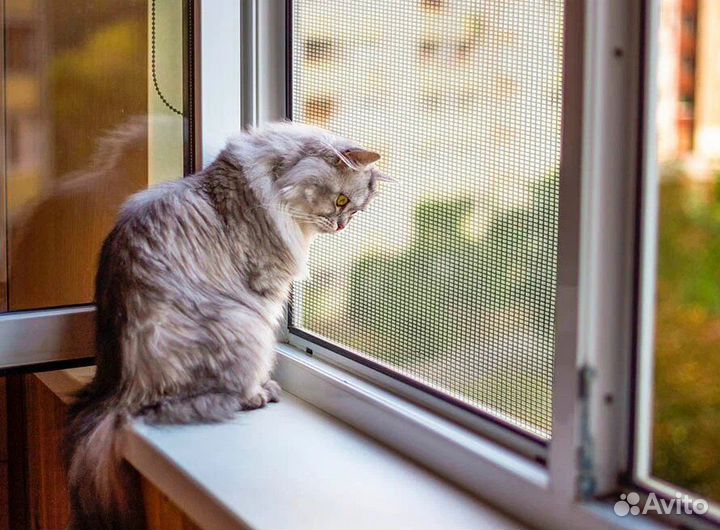 Москитные сетки антикошка