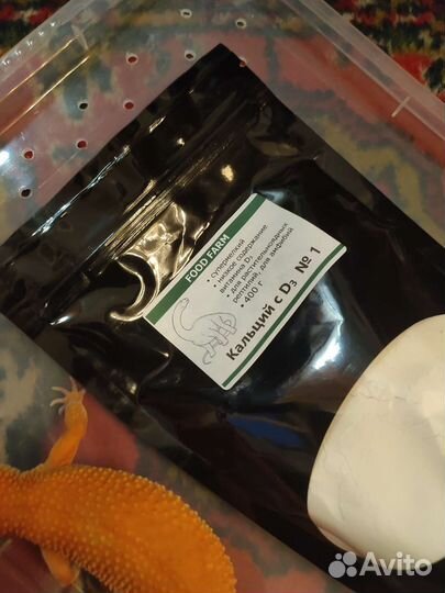 Прикормка для рептилий