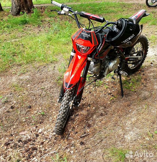Питбайк Regulmoto seven medalist PRO 19/16
