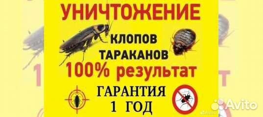 Дезинсекция