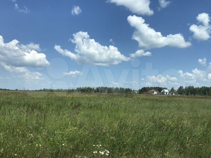 Участок 80 сот. (ИЖС)