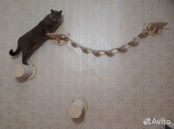Аксессуары для кошек