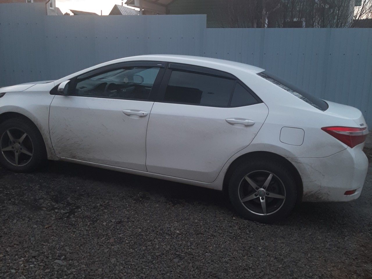 Toyota Corolla: фото владельца