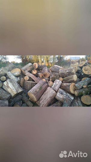 Дрова дуб