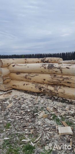 Деревянные Срубы