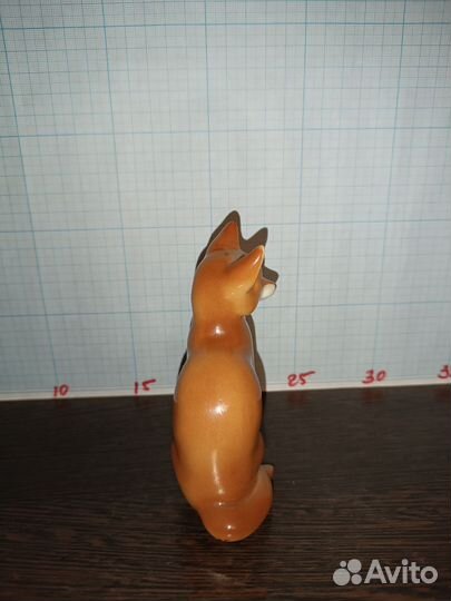 Лисица сидит