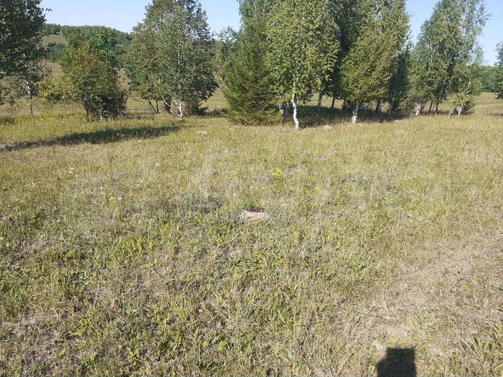 Участок 27 сот. (ИЖС)