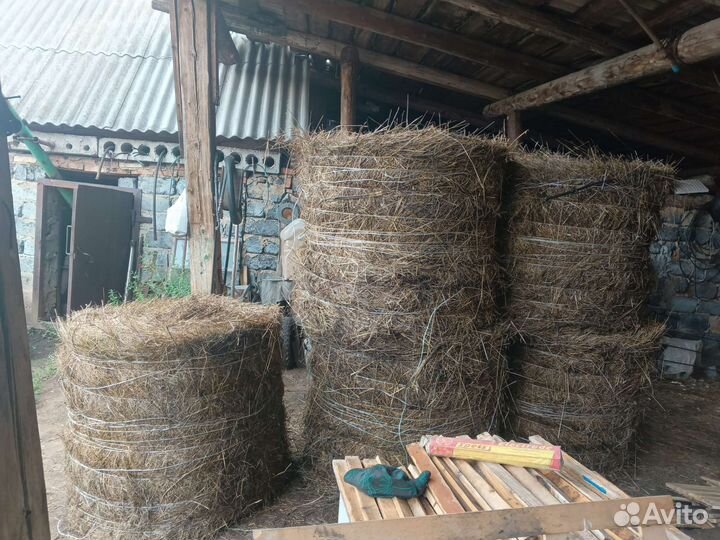 Сено в рулонах 2023