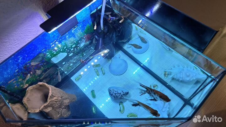 Аквариум 40литров с рыбками