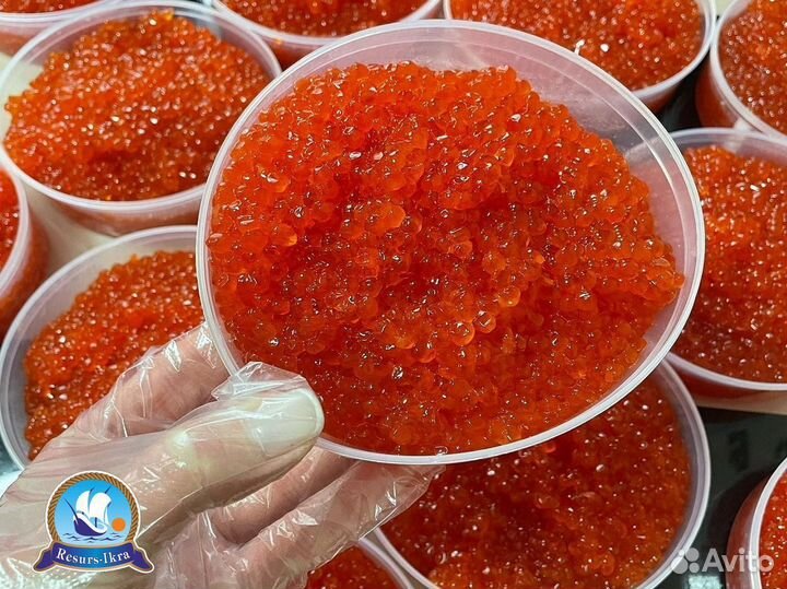 Красная икра Горбуши оптом