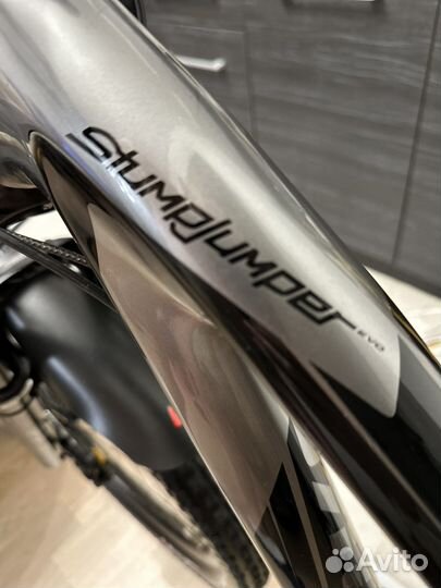 Specialized stumpjumper evo S-works carbon 29