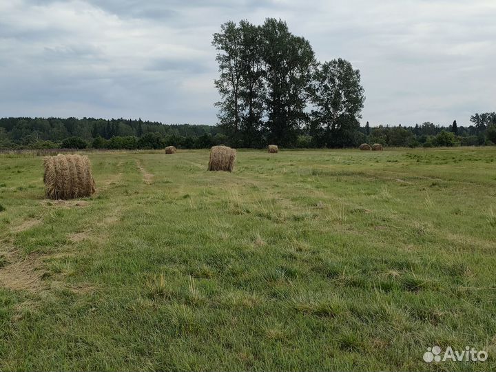 Сено в рулонах 2023