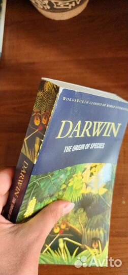 Книги на английском Darwin