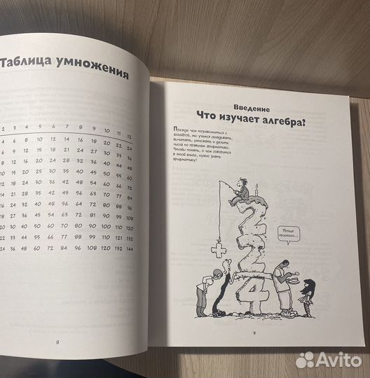 Алгебра в окмиксах. Ларри Гоник