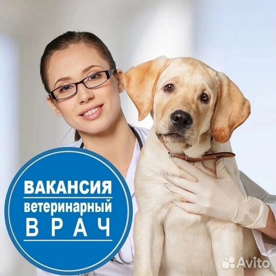 Ветеринар Самара