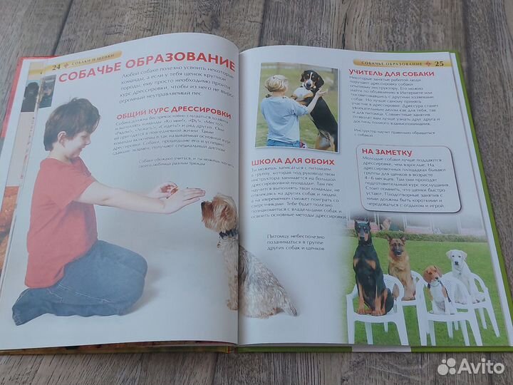 Детская энциклопедия собаки и щенки