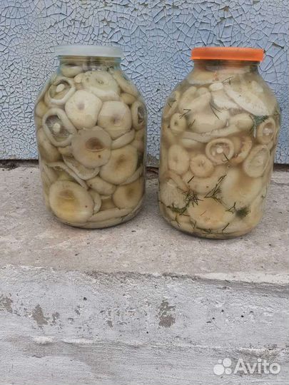 Грибы грузди соленые