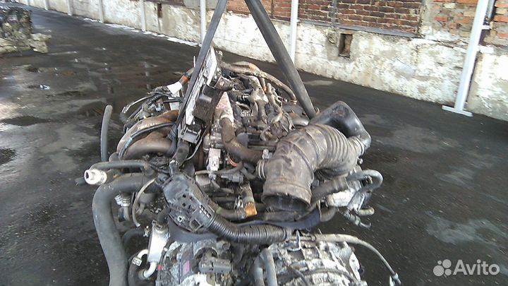 Двигатель toyota RAV4 ACA33 2AZ-FE