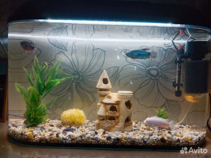 Продаётся аквариум