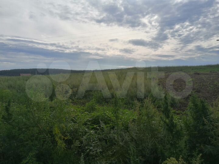 Участок 22 сот. (ИЖС)