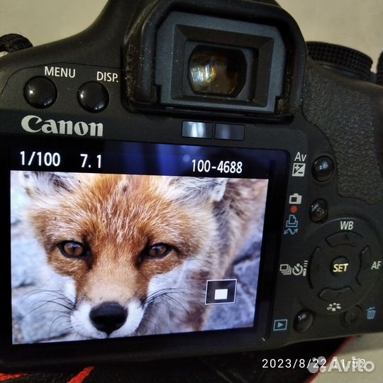 Зеркальная фотокамера Canon 500 D