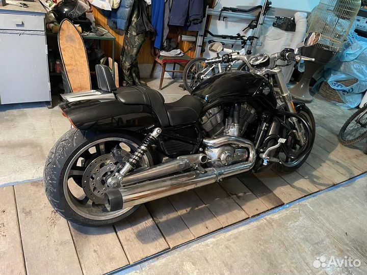 Harley-Davidson V-Rod Muscle