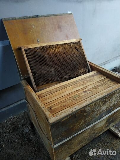 Зимние моховые подушки для ульев, магазины, рамки