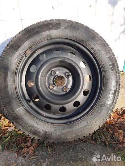 Nexen Winguard Ice Plus 185/65 R15