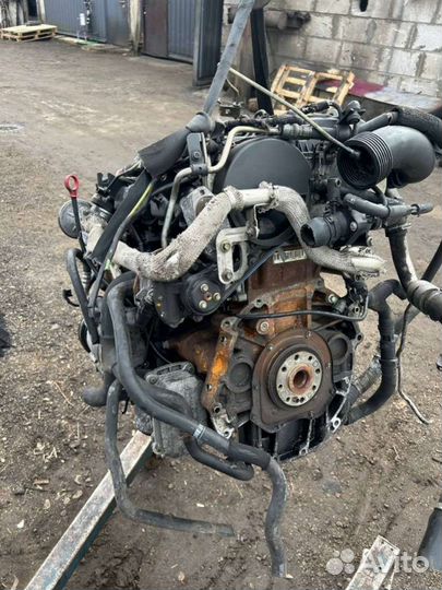 Двигатель Ford Mondeo 3 2004