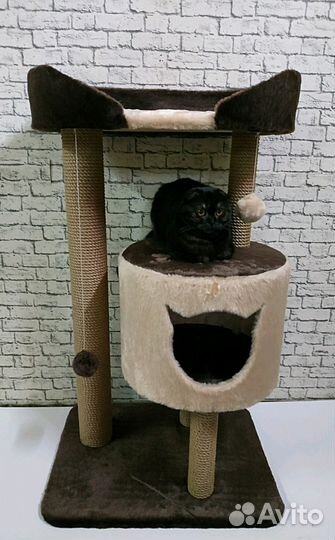 Игровой комплекс для мейнкунов Холли XL