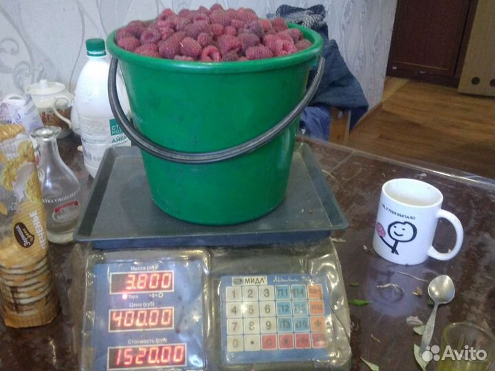 Малина ягода