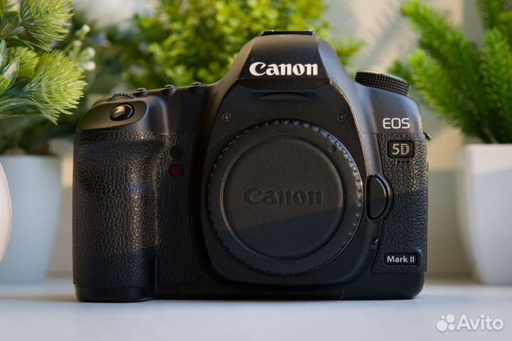 Canon 5D Mark II + Комплект
