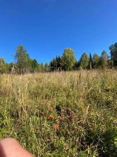 Участок 13,82 га (СНТ, ДНП)