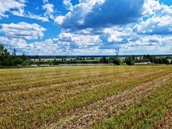 Участок 33 га (СНТ, ДНП)